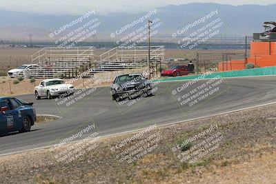 media/May-03-2025-Lucky Dog Racing (Sat) [[206de64b9d]]/Turn 4 B (1150am-130pm)/